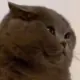 郑博元