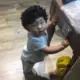 金毛