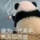 xiaoyang的头像-天机阁