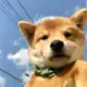 沐宇