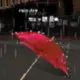 你们