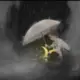 网友昵称：菜鸡