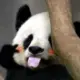天一生水
