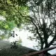 PaulYangss的头像-天机阁