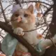 TomoriTakanashi的头像-天机阁