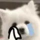 136