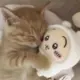 jjx3321735995的头像-投影工坊