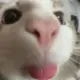 妍