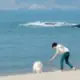 f1151777912的头像-天机阁