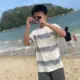 杨臻的头像-投影工坊