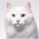 1234