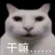 114514isis的头像-天机阁