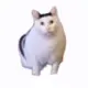 NTSNIPER