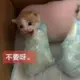 qtw621的头像-投影工坊