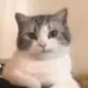 2256