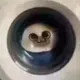 fufuqq的头像-投影工坊