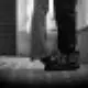 ytl2的头像-投影工坊