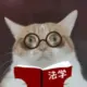 牢大肘击老蒯的头像-投影工坊