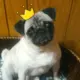 qwer1237799的头像-天机阁
