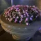 QQ262811412