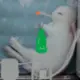 1948198984@qq.com