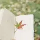 爱车网