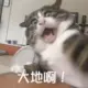 kvorcl的头像-天机阁
