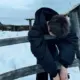 献丑