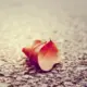 luoye95
