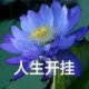 Noob33的头像-投影工坊