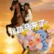 ZDX111111的头像-投影工坊