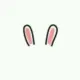 ariesxsl