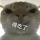 12345678qwe的头像-投影工坊