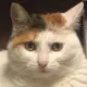qwq123qwq