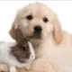 8763526@qq.com