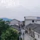我是佩奇