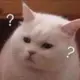 zdsg