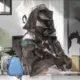 枫
