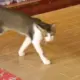 2356