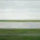黄小豆