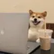 ggkp