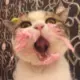 Nil 的头像