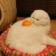 kidkkid666的头像-天机阁