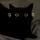 464