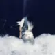 GhostAsS.c