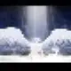 illusion1000的头像-天机阁