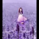 a2545755465的头像-天机阁