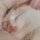今天下雨了吗