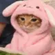 2654