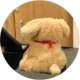 西瓜撞地球
